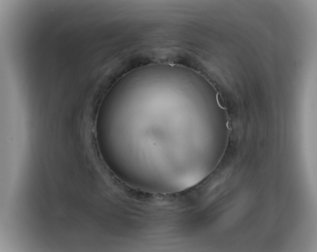 X0000114150913200910081330