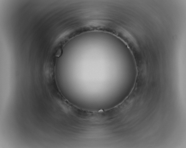 X0000114150920200910081330