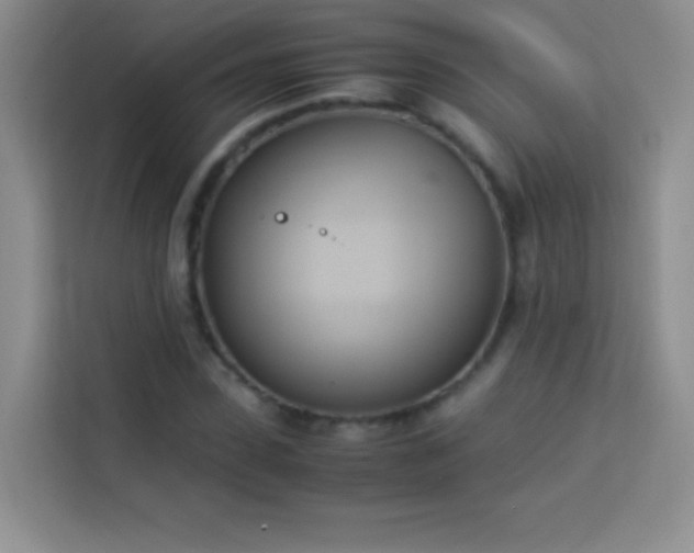 X0000114150923200910081330