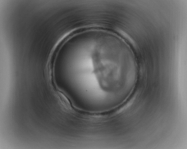 X0000114150925200910081330