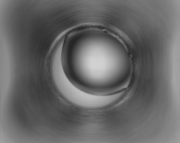 X0000114150926200910081330