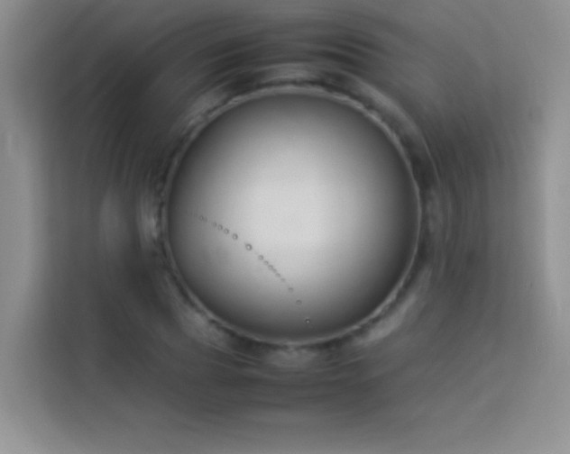 X0000114150929200910081330