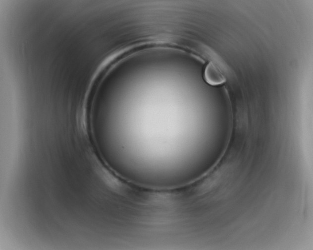 X0000114150932200910081330