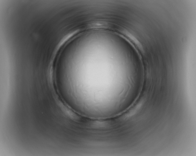 X0000114150933200910081330