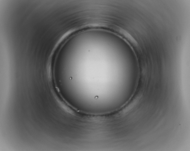 X0000114150934200910081330