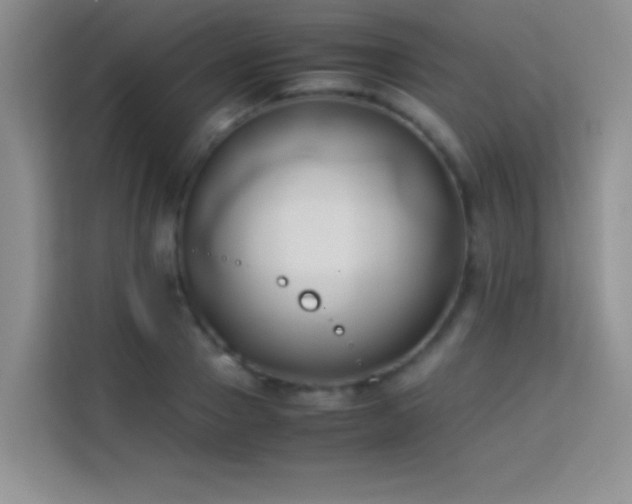 X0000114150937200910081330