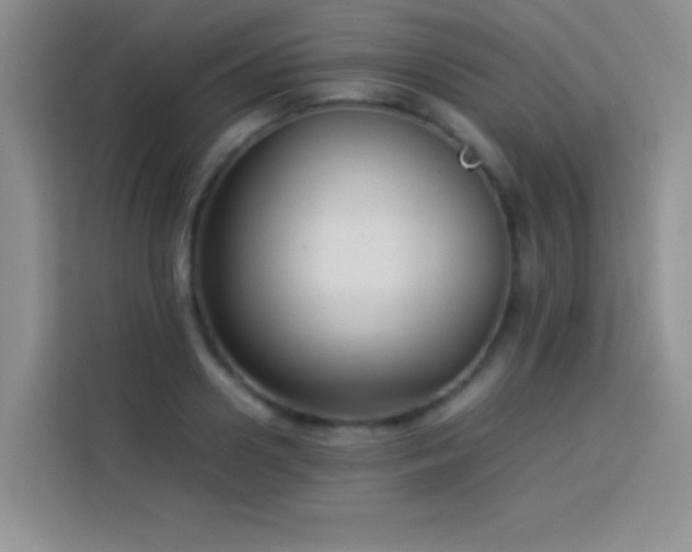 X0000114150938200910081330