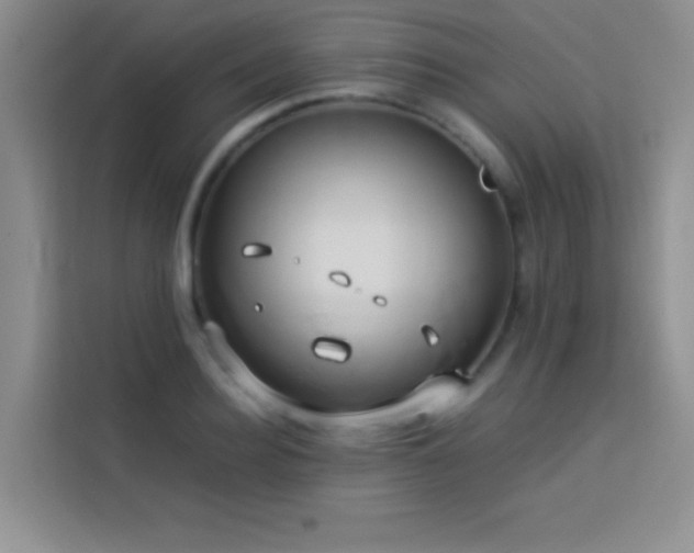 X0000114150940200910081330