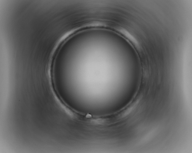 X0000114150943200910081330