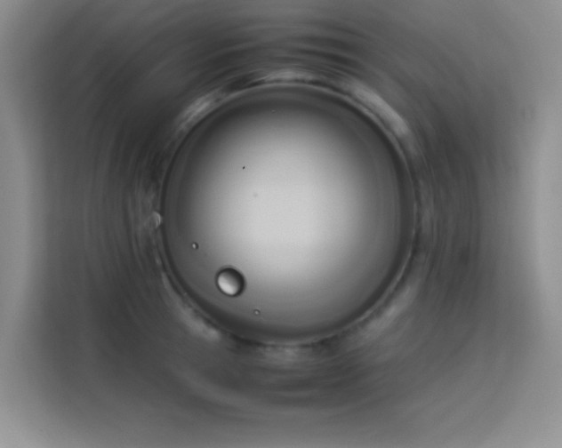 X0000114150945200910081330