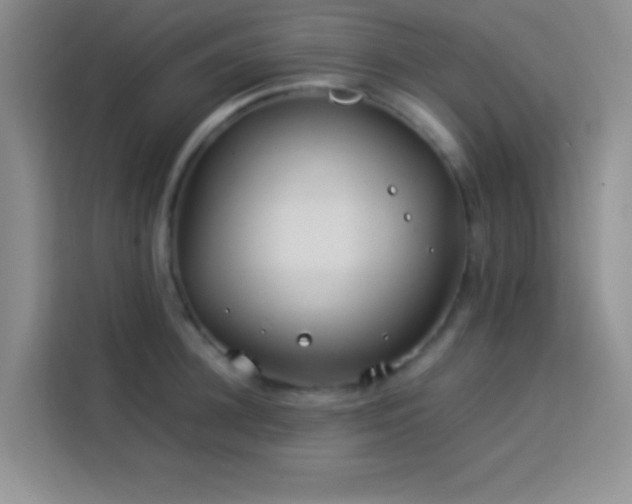 X0000114150948200910081330