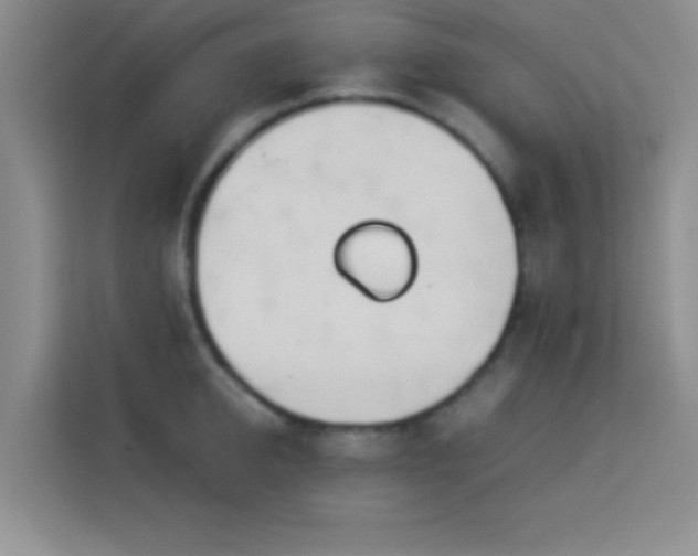 X0000114150950200910081330