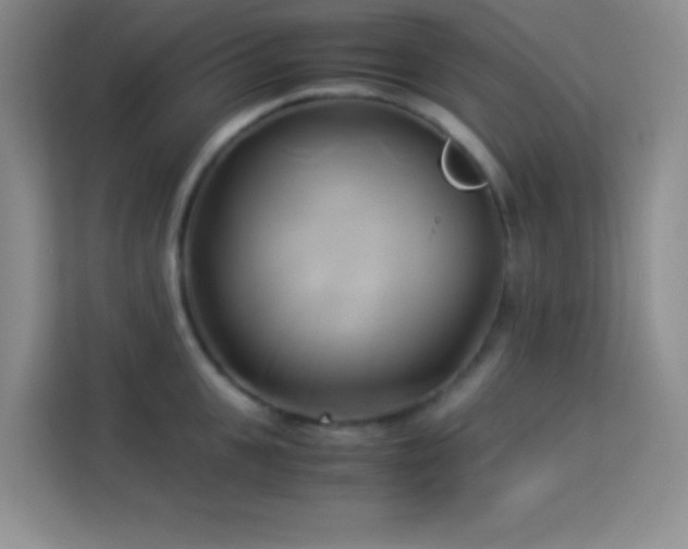 X0000114150951200910081330