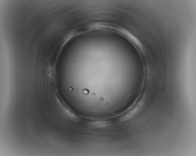 X0000114150953200910081330