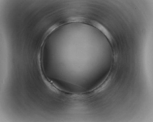 X0000114150954200910081330