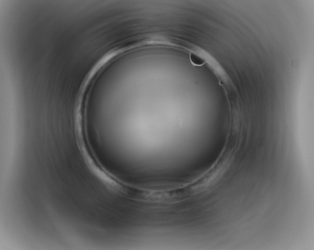 X0000114150955200910081330