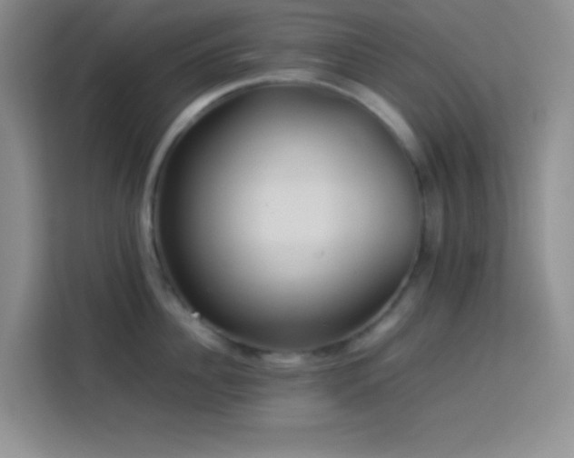 X0000114150956200910081330