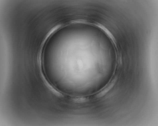 X0000114150957200910081330