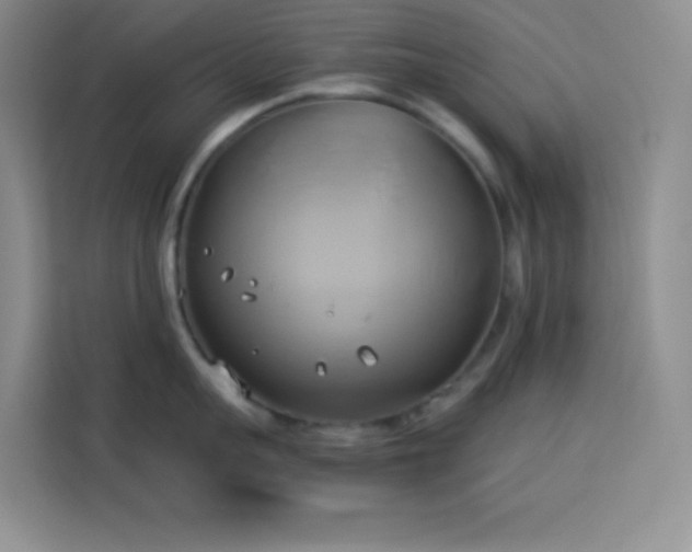 X0000114150959200910081330