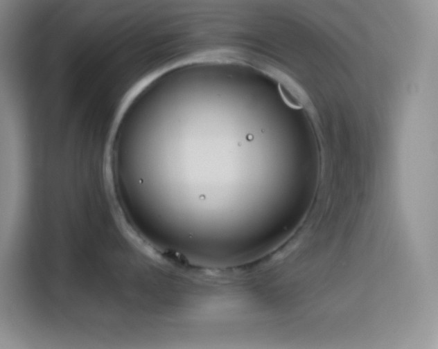 X0000114150960200910081330