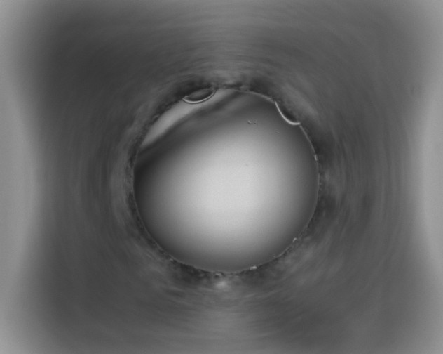 X0000114150961200910081330
