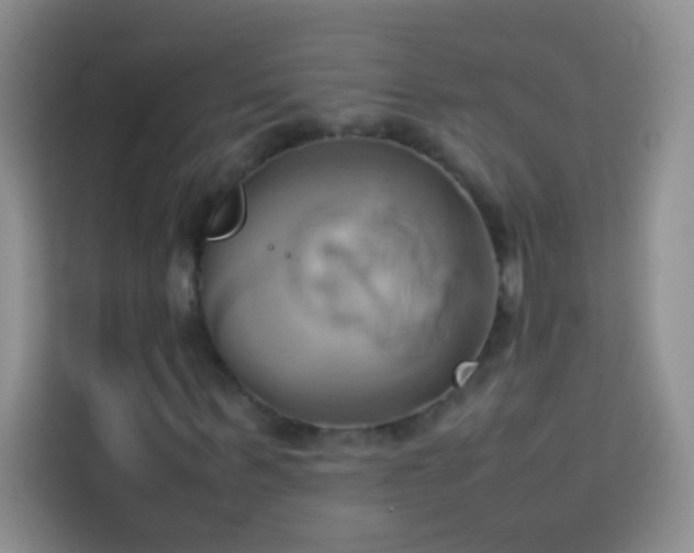 X0000114150963200910081330