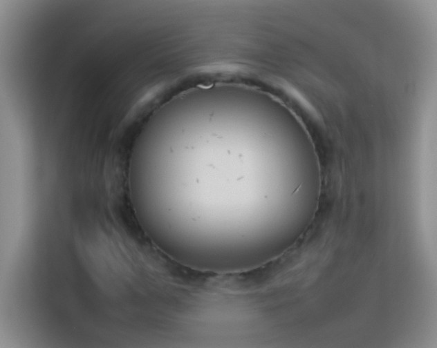 X0000114150967200910081330