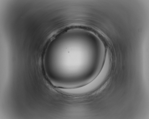 X0000114150969200910081329