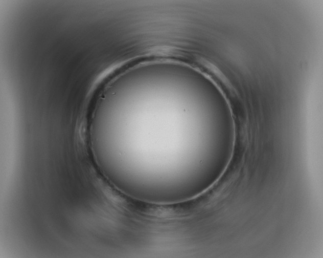 X0000114150971200910081329