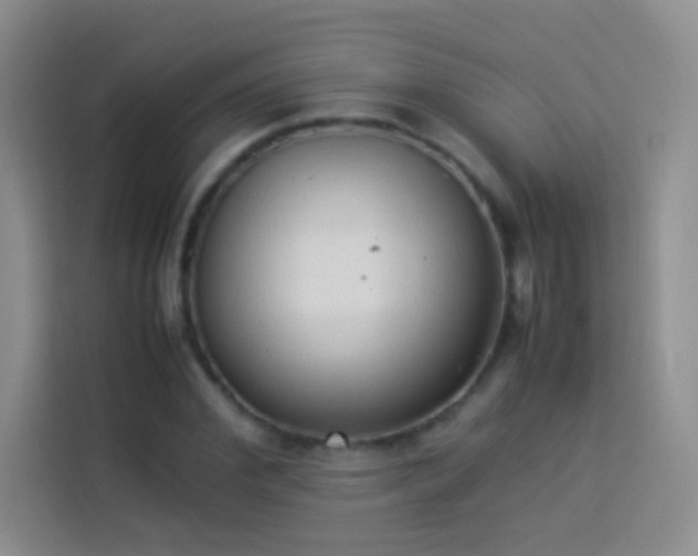X0000114150972200910081329