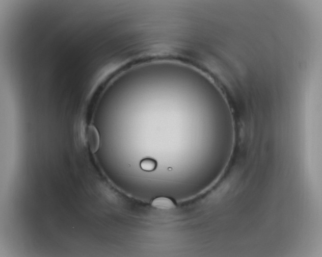 X0000114150973200910081329