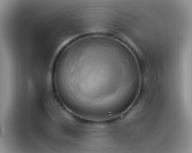 X0000114150975200910081329