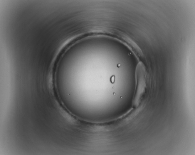 X0000114150976200910081329