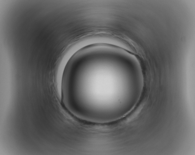 X0000114150977200910081329