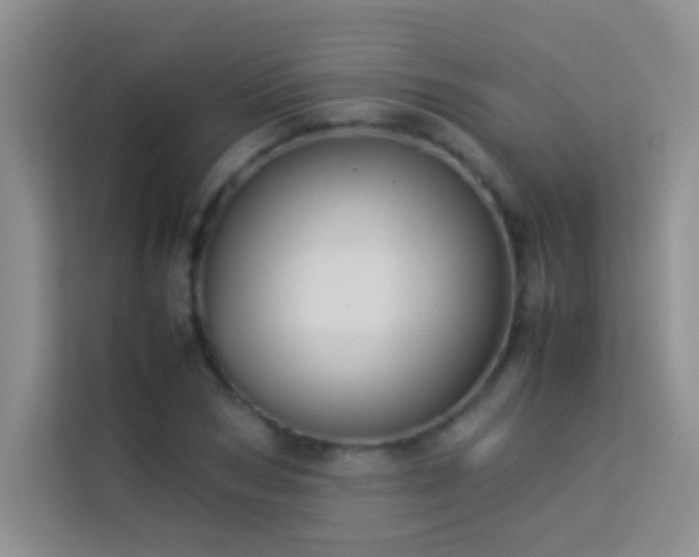 X0000114150978200910081329