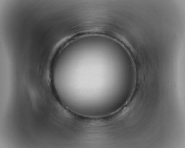 X0000114150979200910081329