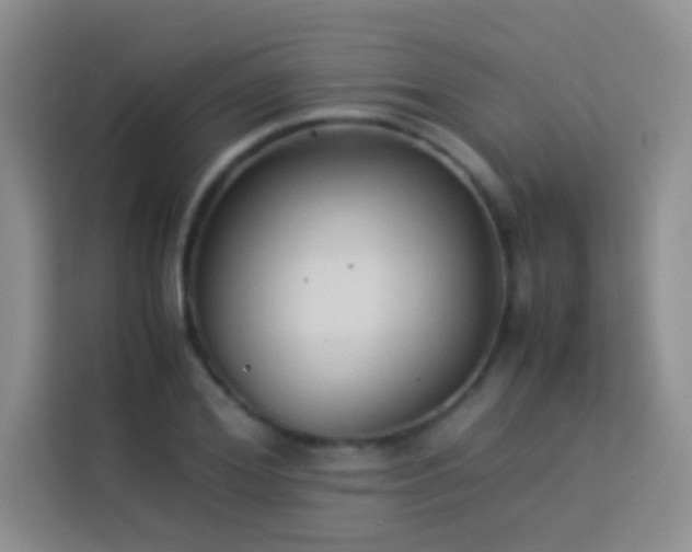 X0000114150980200910081329