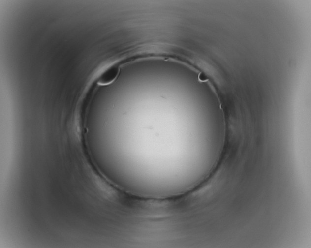 X0000114150981200910081329