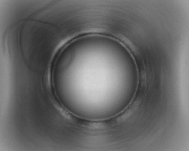 X0000114150982200910081329