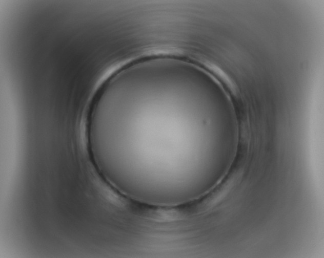 X0000114150983200910081329