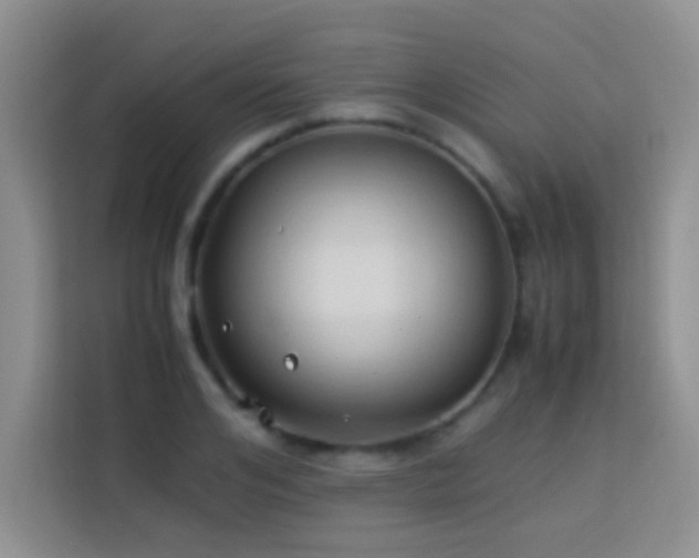 X0000114150984200910081329