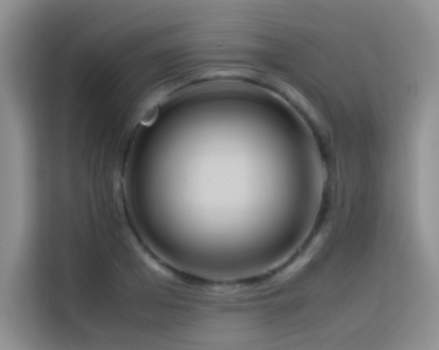 X0000114150985200910081329