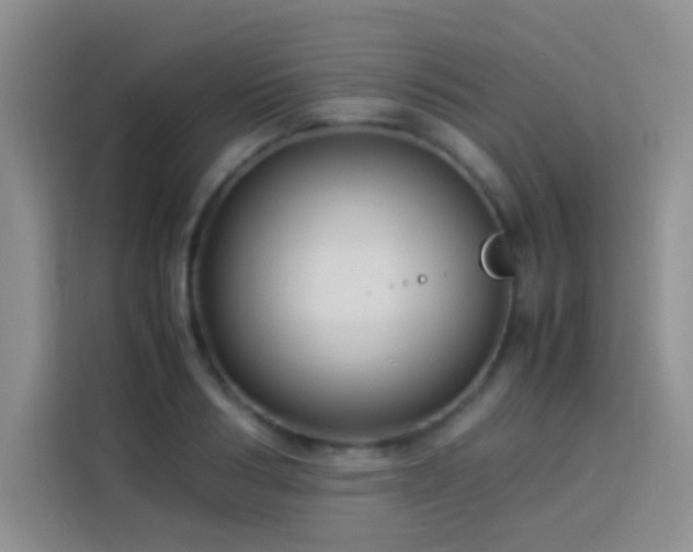 X0000114150986200910081329