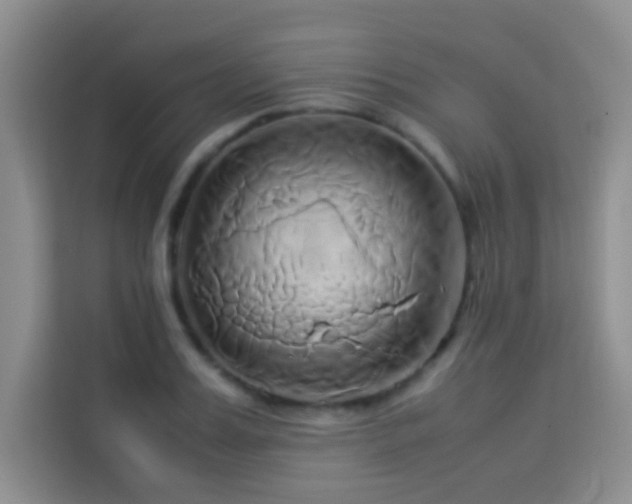 X0000114150987200910081329
