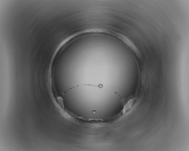 X0000114150988200910081329