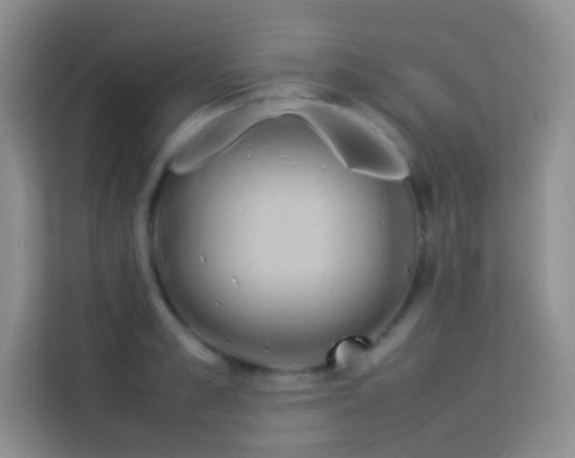 X0000114150989200910081329