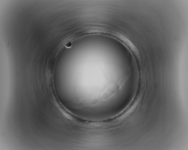 X0000114150993200910081329