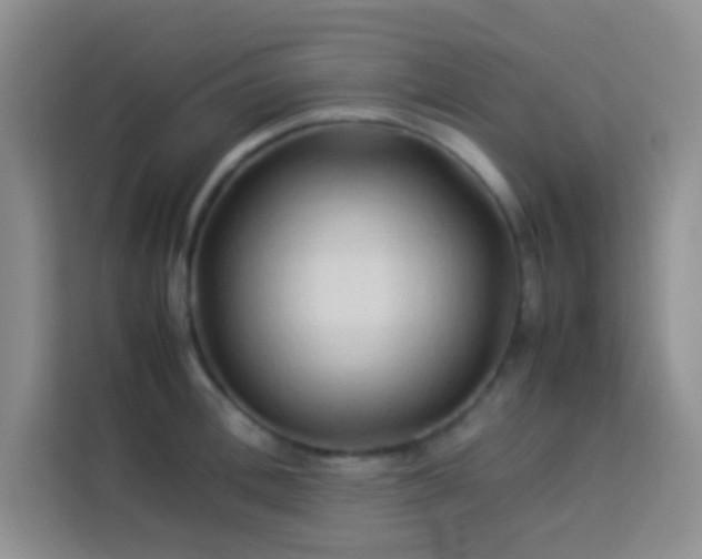 X0000114150996200910081329