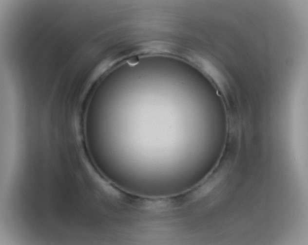 X0000114150997200910081329