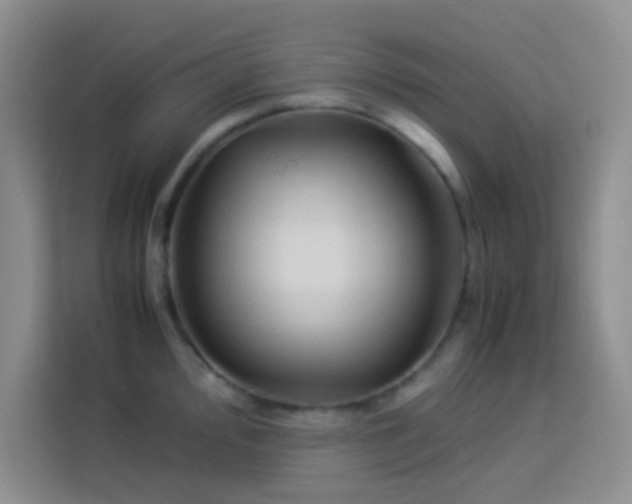 X0000114151000200910081329